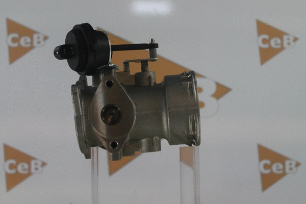 EGR Valve