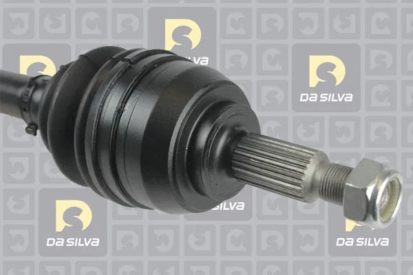 Drive Shaft