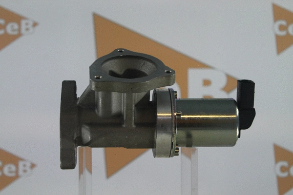 EGR Valve