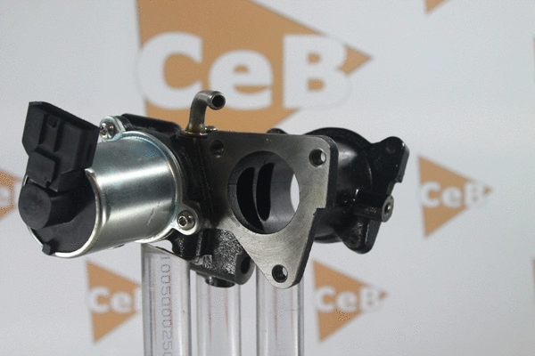 EGR Valve