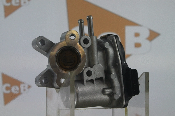 EGR Valve (GR6080)