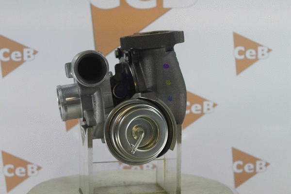 Charger, charging (supercharged/turbocharged)