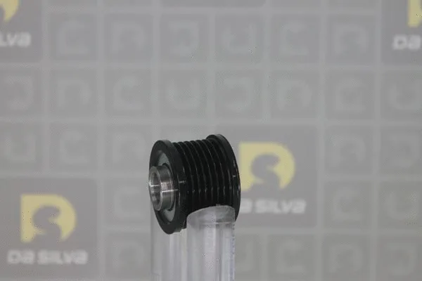 Alternator Freewheel Clutch