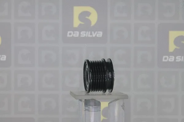 Alternator Freewheel Clutch