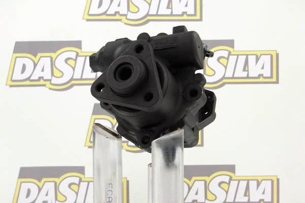 Hydraulic Pump, steering (DP2756)
