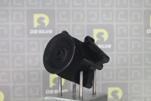 Hydraulic Pump, steering (DP3687)