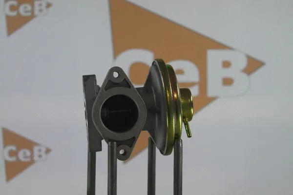 EGR Valve