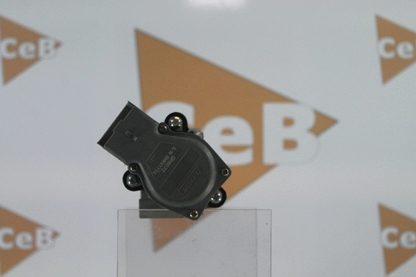 EGR Valve