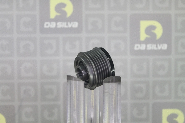 Alternator Freewheel Clutch