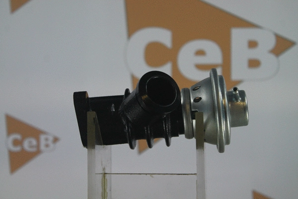 EGR Valve