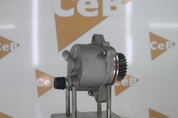 Vacuum Pump, braking system