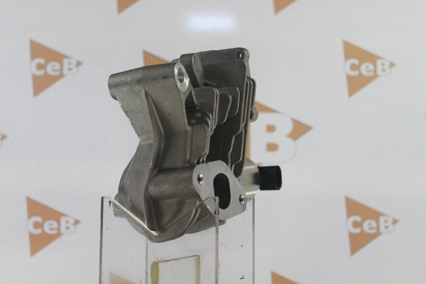 EGR Valve