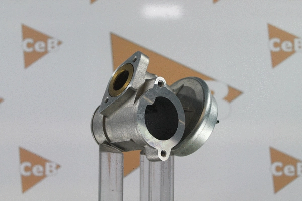 EGR Valve (GR6038)