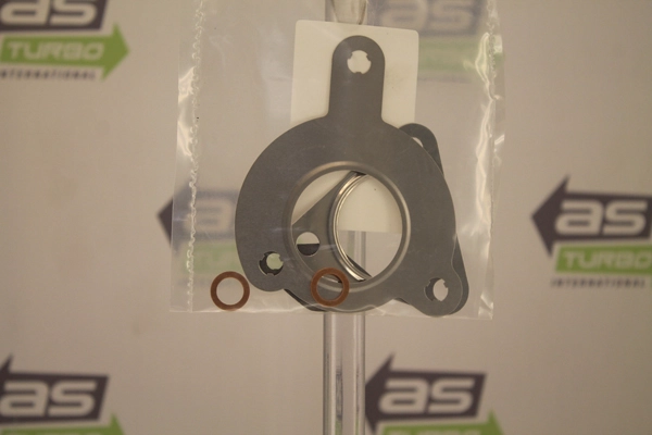 Charger, charging (supercharged/turbocharged) (AS7305)