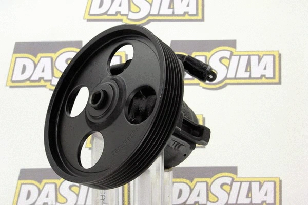 Hydraulic Pump, steering (DP2079)