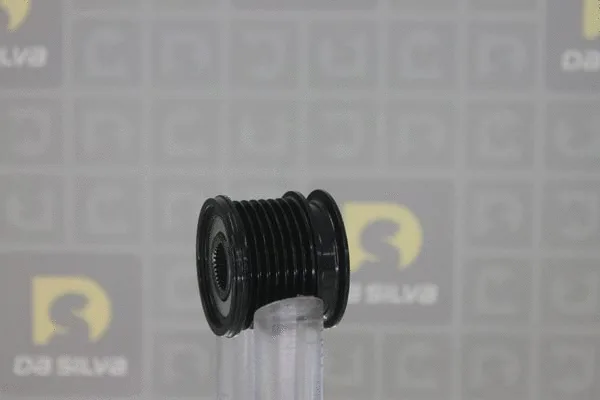 Alternator Freewheel Clutch