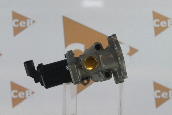 EGR Valve