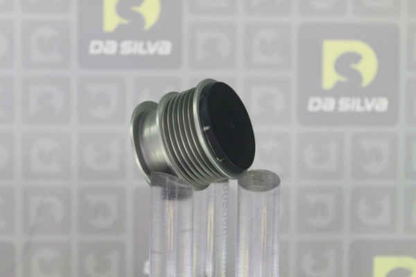 Alternator Freewheel Clutch