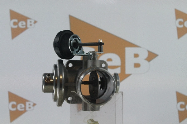 EGR Valve