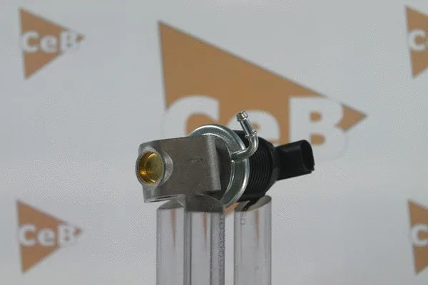 EGR Valve (GR6025)