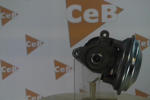 Vacuum Pump, braking system