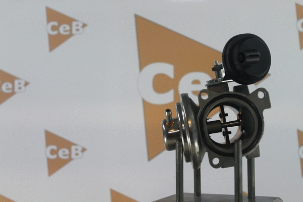EGR Valve