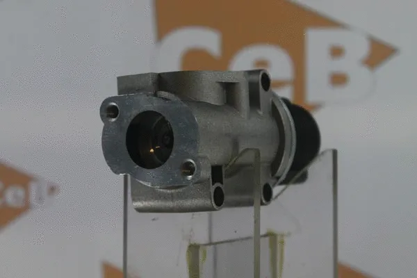 EGR Valve (GR6010)