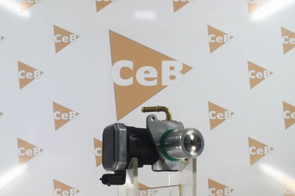EGR Valve (GR6017)