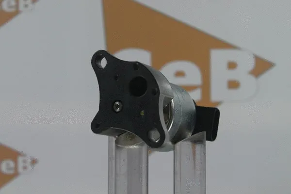 EGR Valve (GR6007)