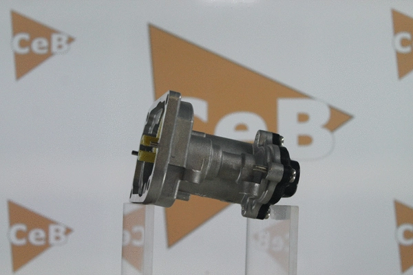 EGR Valve