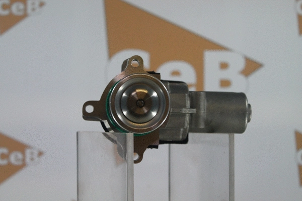 EGR Valve