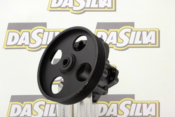 Hydraulic Pump, steering (DP2841)
