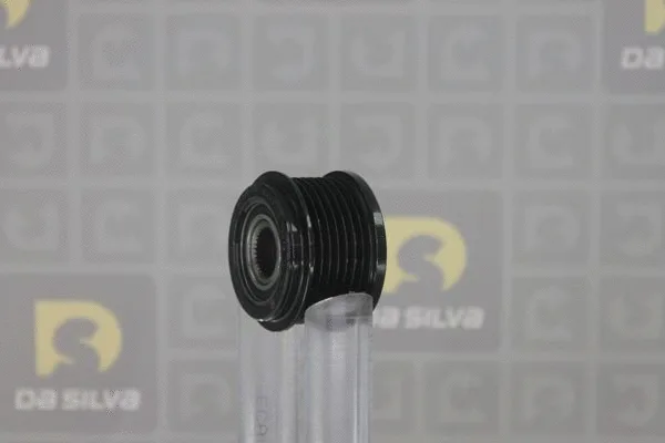 Alternator Freewheel Clutch