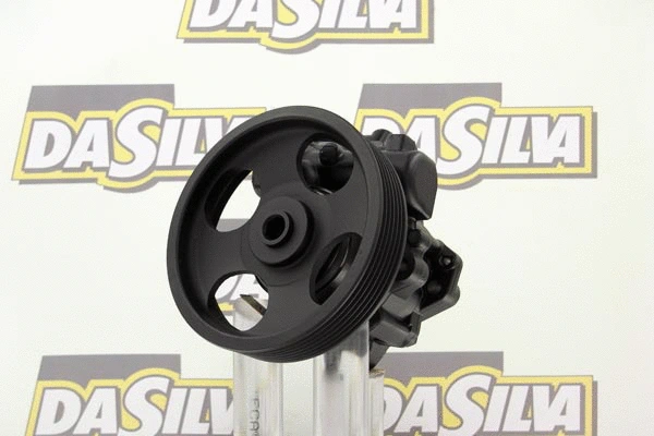 Hydraulic Pump, steering (DP2909)