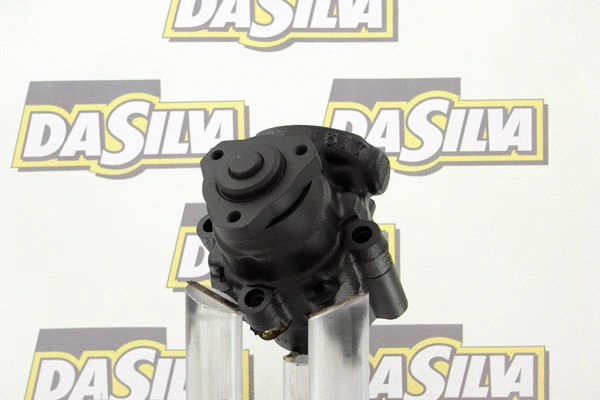 Hydraulic Pump, steering (DP2046)