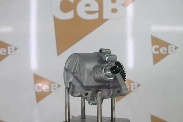 Vacuum Pump, braking system
