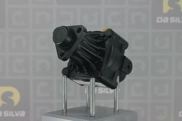 Hydraulic Pump, steering (DP2913)