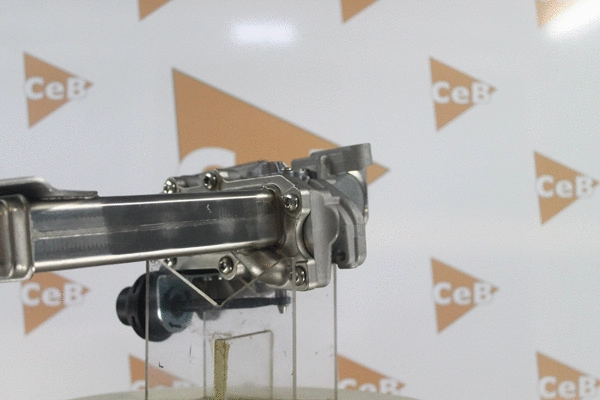 EGR Valve