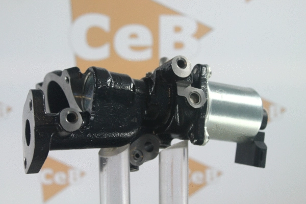 EGR Valve (GR6129)