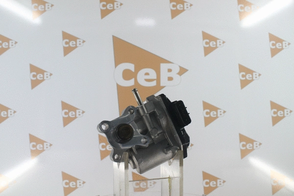EGR Valve (GR6163)