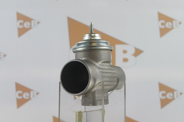 EGR Valve (GR6132)