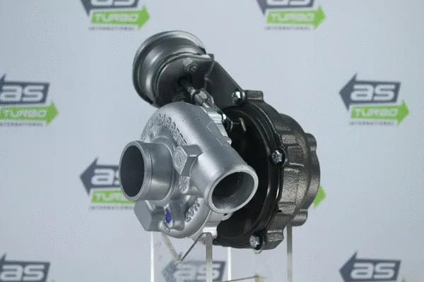 Charger, charging (supercharged/turbocharged) (AS1251)