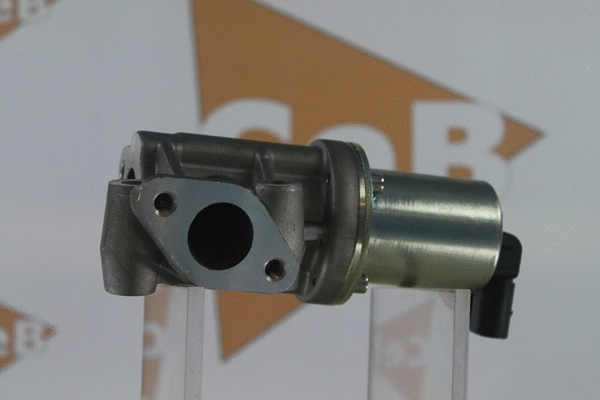 EGR Valve