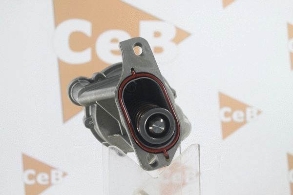 Vacuum Pump, braking system