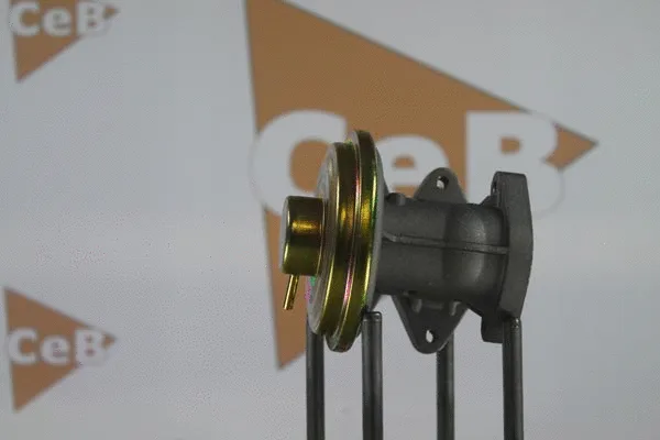 EGR Valve