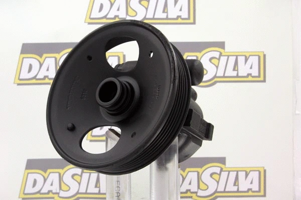 Hydraulic Pump, steering (DP2276)