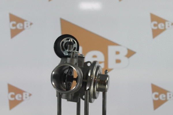 EGR Valve