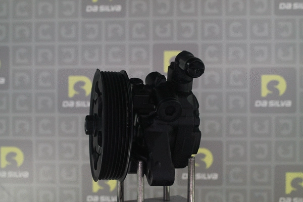 Hydraulic Pump, steering (DP3623)