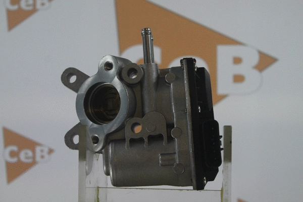 EGR Valve