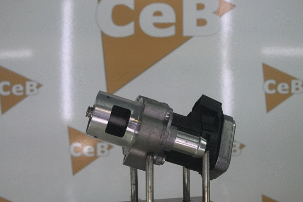 EGR Valve